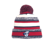 Chestertown Christian Academy- Beanie