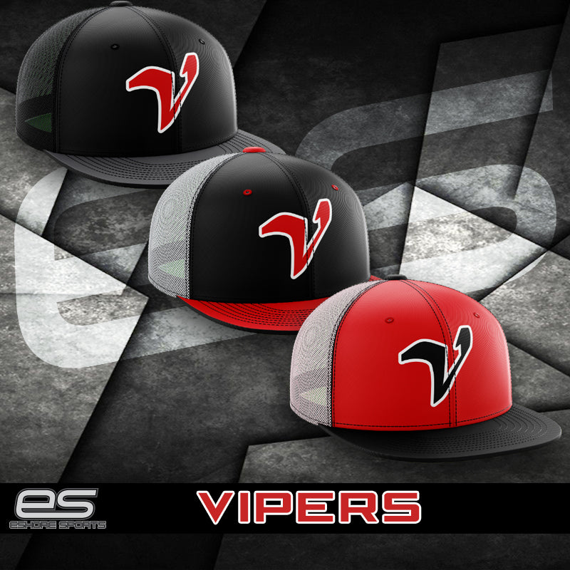 Delaware Vipers Hat (Pacific 404M)
